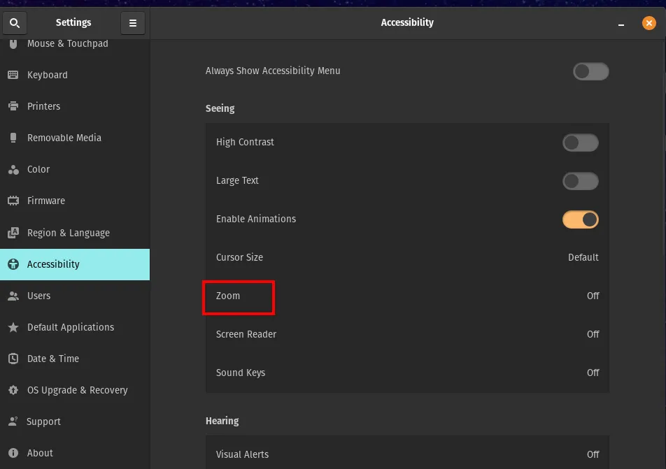 Pop OS Accessibility Settings Zoom option