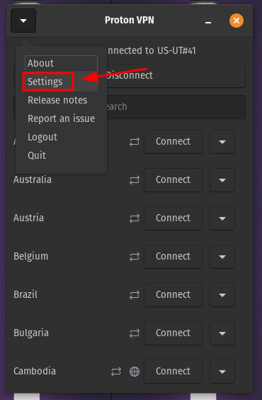 ProtonVPN Settings