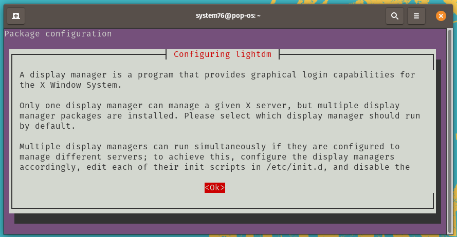 Display Manager Section