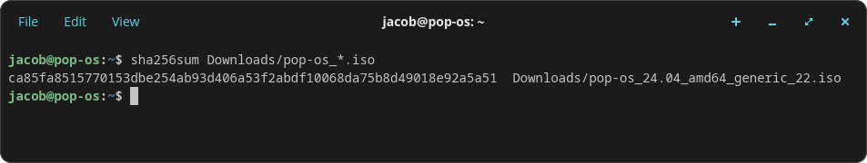 Checksum Terminal Output