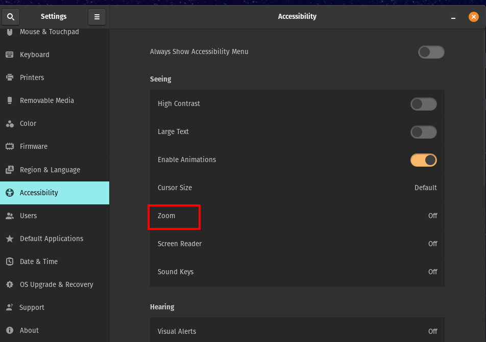 Pop OS Accessibility Settings Zoom option