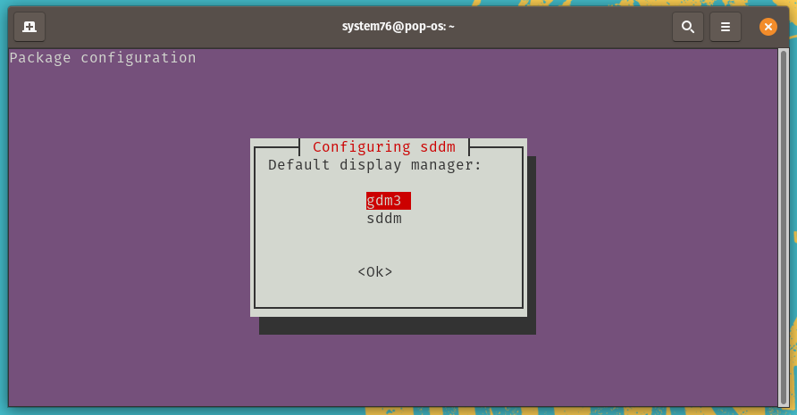 Display Manager Section