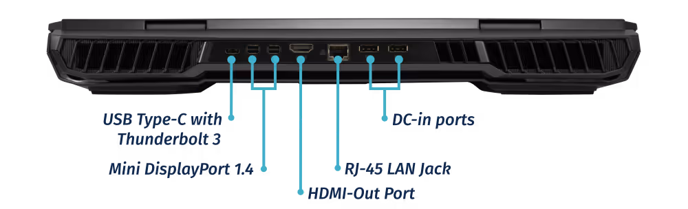 Back Ports