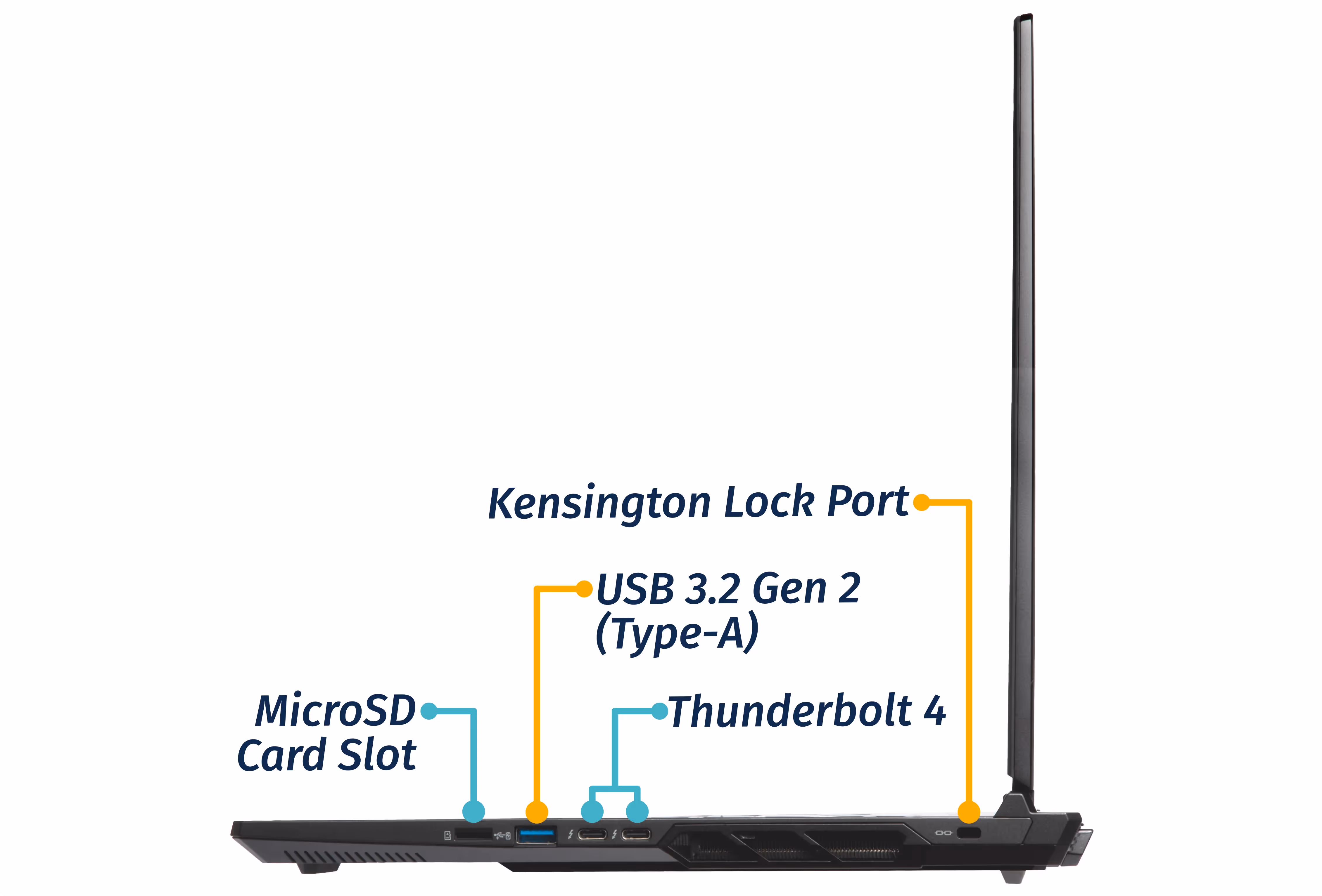 Right Ports