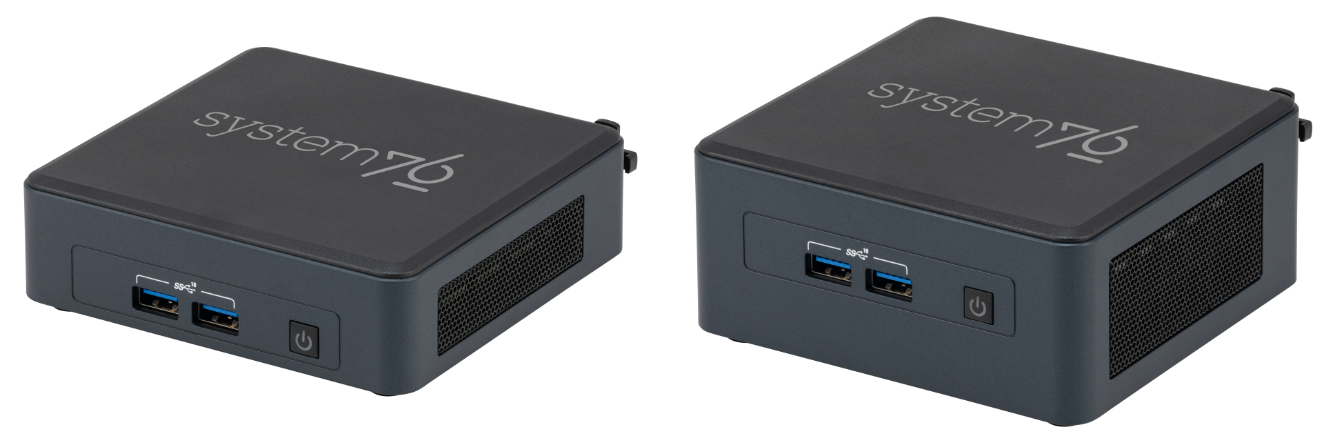 Meerkat (short and tall)